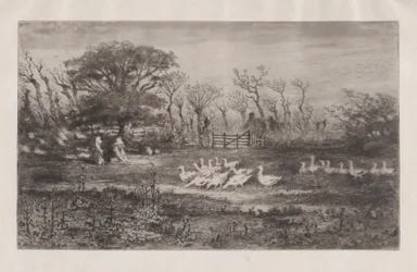 Gänse, 1860-98
