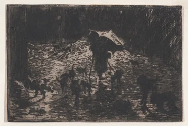 Die Nachtstreuner