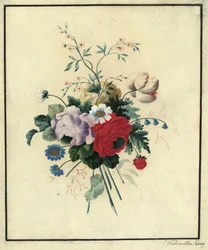 Rosen, Tulpen, Margeriten