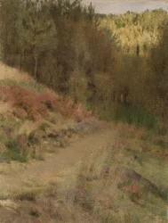 Landschaft in Fosset
