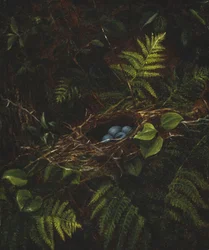 Vogelnest und Farne, 1863