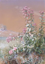 Ohne Titel