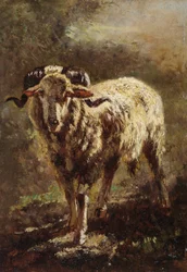 Ziege