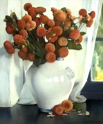 Rote Dahlien