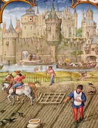 Fol.10v Monat Oktober: Aussaat, aus Breviarium Grimani, ca. 1515