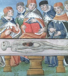 Dissektion, aus De Medina Fen I. II, von Avicenna (980-1037)