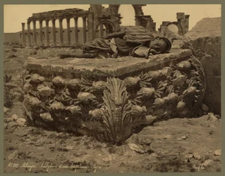 Ansicht der großen Kolonnade, Palmyra, ca. 1875 (Albumindruck)