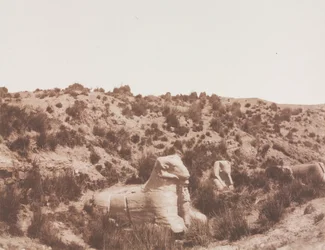 Sphinxen mit Menschenkopf und mit Widderkopf bei Punkt Y. Karnak Theben