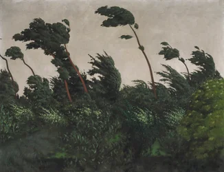 Der Wind