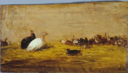 Truthähne, zwischen 1850 und 1855