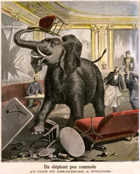 Ein unbequemer Elefant: Der Dickhäuter entkommt aus einer Zirkusmenagerie und zerstört alles im Café von Pre-Catelan in Toulouse. Gravur von Meaulle und Meyer auf der letzten Seite des PETIT JOURNAL Beilagenhefts Nr. 51 vom 14. November