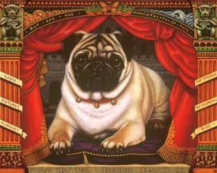 Nabokovs Mops