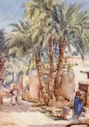 Das Palmdorf