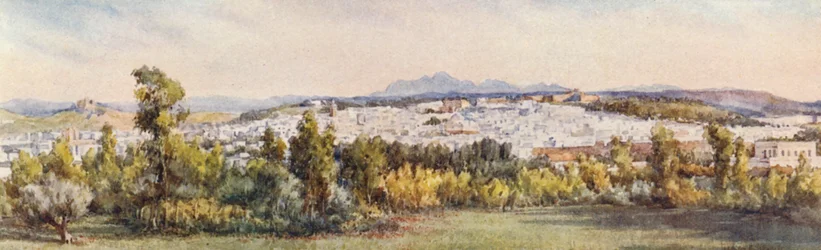 Tunis vom Belvedere