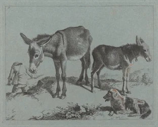 Esel mit ihrem Fohlen, einem Hund und einem Bauern, 1762-1763
