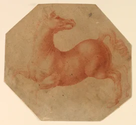 Studie eines sich aufbäumenden Pferdes nach Leonardo da Vinci