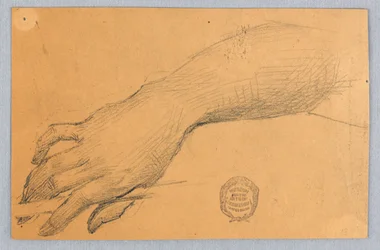 Studie von Hand und Handgelenk