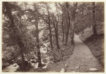 Dolgelley, Ansicht im Torrent Walk
