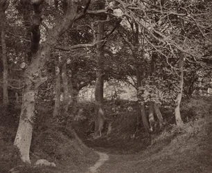 Kenilworth-Schlucht