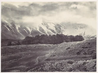 Fernansicht der Zedern des Libanon