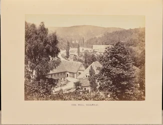 Die Mühle, Birkenau