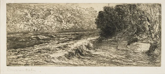 Ein guter Platz für einen Lachs, 1889