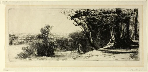 Früher Morgen, Richmond Park