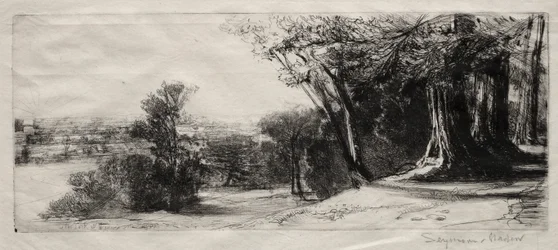 Früher Morgen, Richmond Park