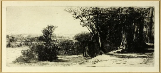 Früher Morgen, Richmond Park