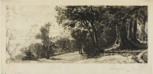 Früher Morgen, Richmond Park