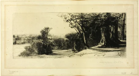Früher Morgen, Richmond Park