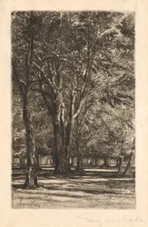 Kensington Gardens, Nr. 2 (große Platte)