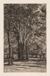 Kensington Gardens, Nr. 2 Die größere Platte, 1860