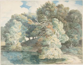 Bäume am See, Peamore Park, bei Exeter, Devon