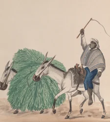 Ein Mann reitet auf einem Maultier, seine Peitsche erhoben, ein anderes Maultier mit Gras beladen, ca. 1848