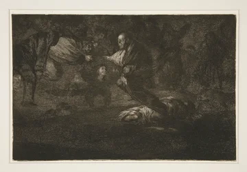 Gott erschafft sie und sie gesellen sich zusammen, pl. 18 aus der Serie Los proverbios