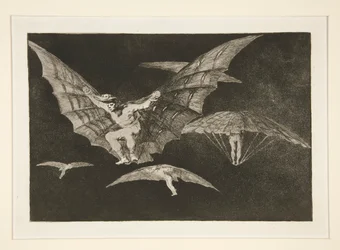 Eine Art zu fliegen, Platte 13 aus der Serie Los proverbios