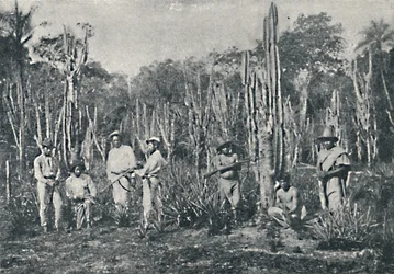Campos, 1895