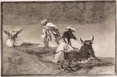 Stierkampf: Die Mohren spielen in einer Einfriedung mit einem weiteren Stier mit der Capa