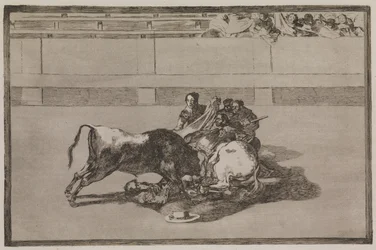 Ein Picador wird vom Pferd geworfen und stürzt unter den Stier