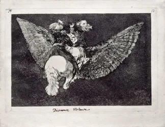 Fliegende Torheit aus der Serie Los Disparates Follies, 1815-1819