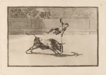Die Beweglichkeit und Kühnheit von Juanito Apinani in der Arena von Madrid