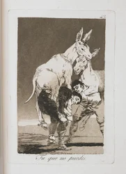 Platte aus Los Caprichos, 1797-1798