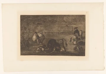 Stier von Hunden angegriffen