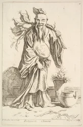 Chinesischer Botaniker