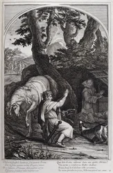 Illustration aus 