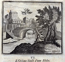 Der Vogel, der von einem Pfeil getroffen wurde. Fabeln von Jean de La Fontaine. Illustration von François Chauveau. Ausgabe von 1728.