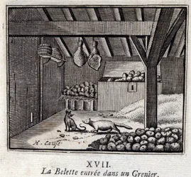 Das Wiesel betritt einen Speicher. Fabeln von Jean de La Fontaine. Illustration von François Chauveau. Ausgabe von 1728.