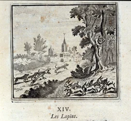 Kaninchen. Fabeln von Jean de La Fontaine. Illustration von François Chauveau. Ausgabe von 1728.