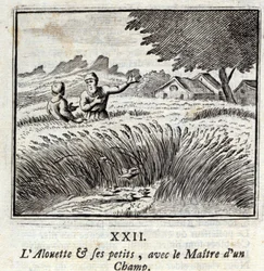 Die Lerche und ihre Jungen mit dem Besitzer eines Feldes. Fabeln von Jean de La Fontaine. Illustration von François Chauveau. Ausgabe von 1728.